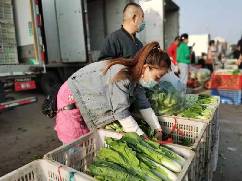 新鲜蔬菜批发价，北京市场行情看涨，尽享丰收喜悦！