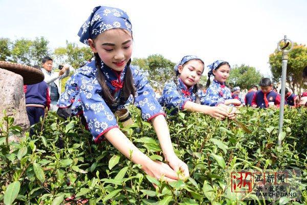 江南府新品发布，乐享宜居新篇章启幕