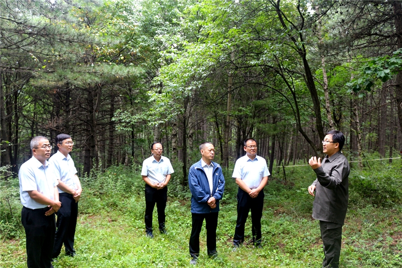 甘肃绿野新领航：林业厅厅长新篇章启幕