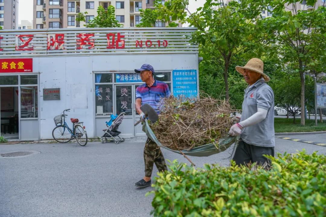 “杨村兼职新机遇，武清就业好时光”