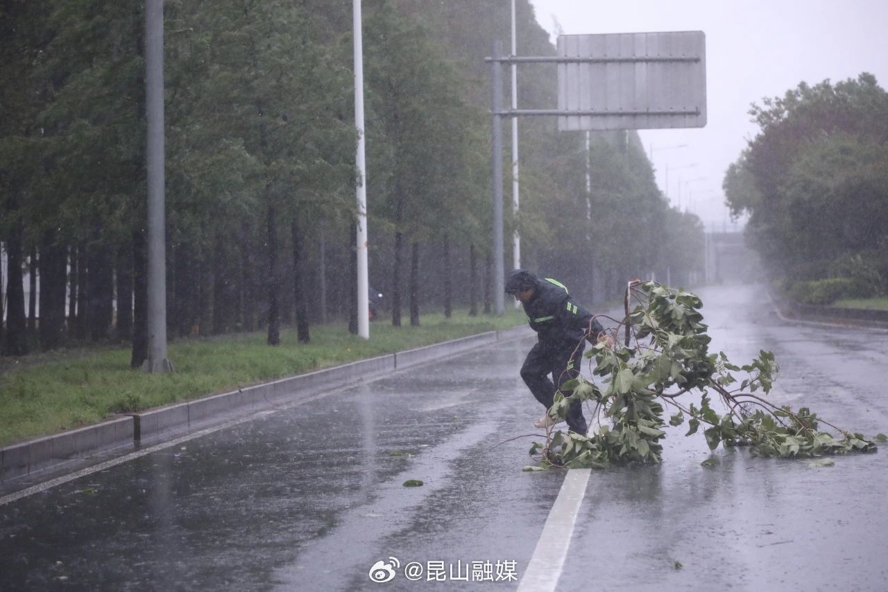 “山东地区台风最新动态，风雨同舟，共筑平安防线”