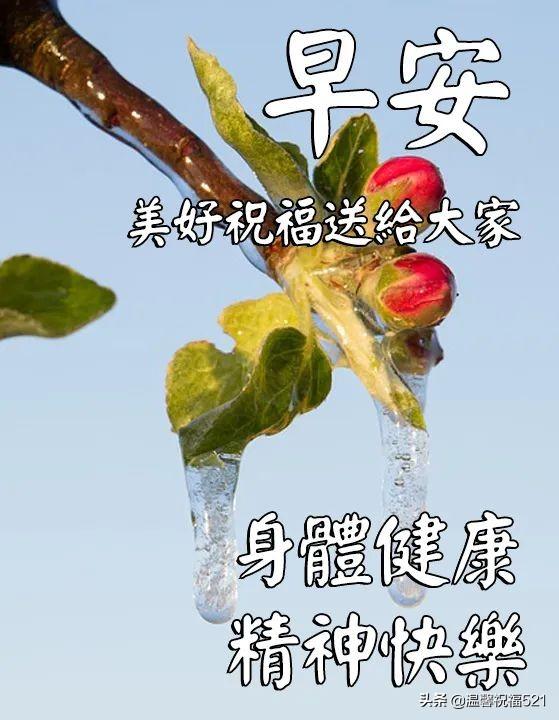 每日清晨祝福语新鲜出炉