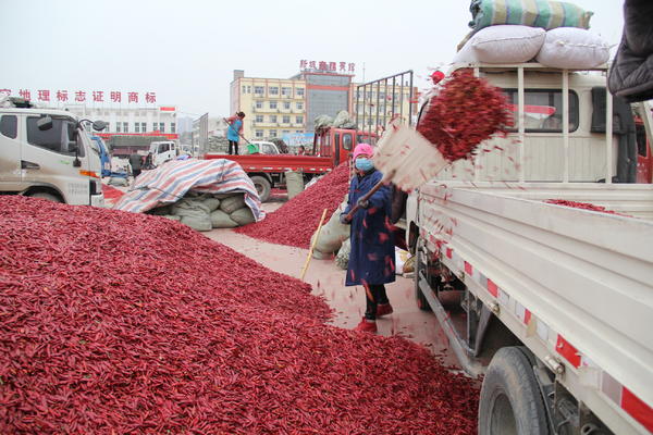 河南辣椒市场价格动态