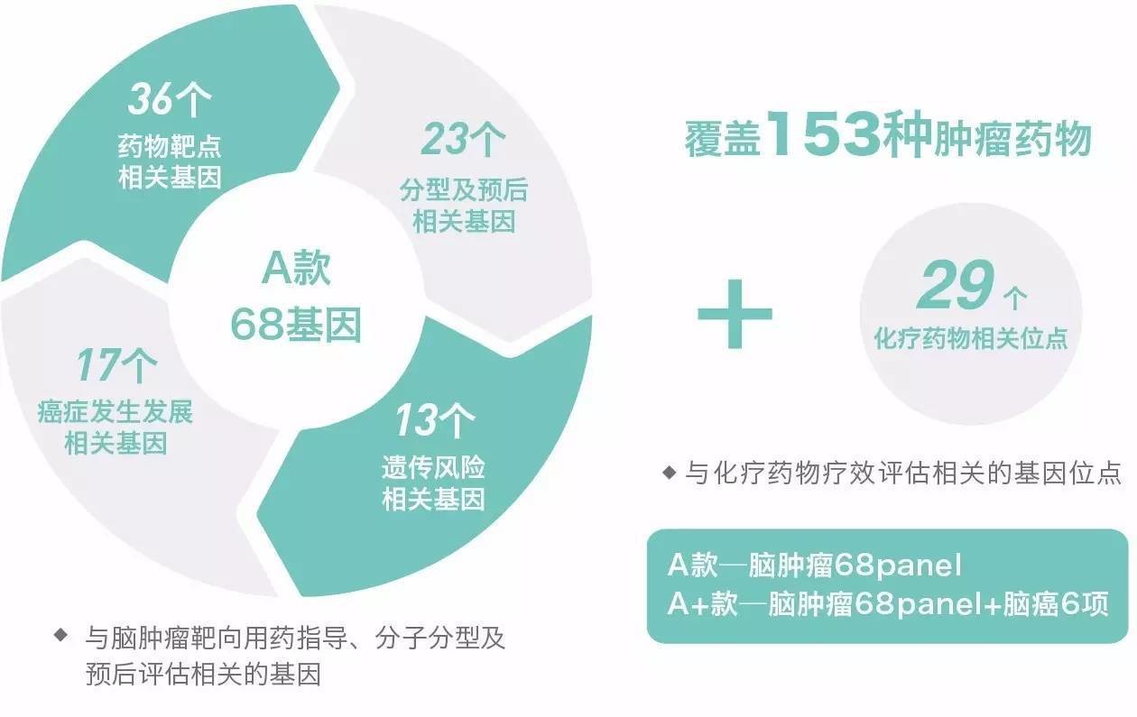 革新突破：探索胶质瘤治疗领域的最新药物进展