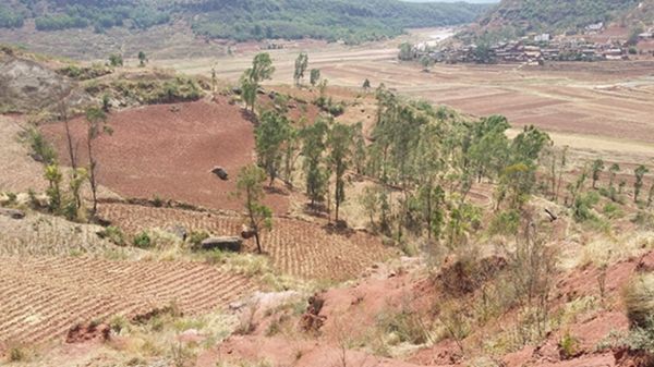 最新揭晓：山东荒山荒地承包政策及项目动态资讯