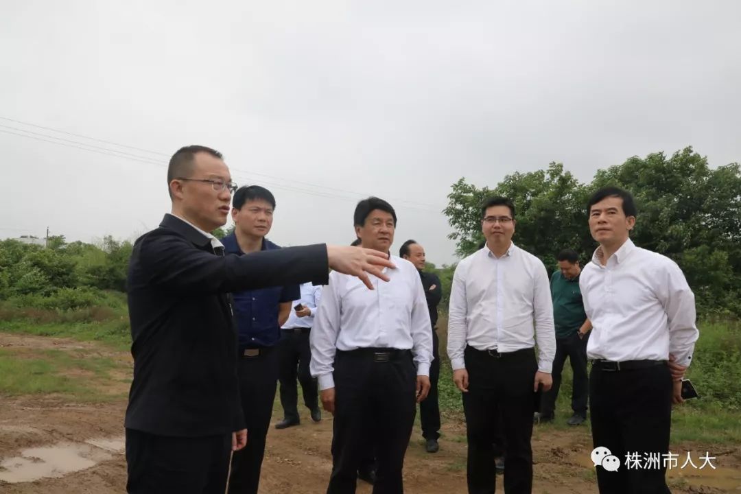 泰国与日本最新动态：跨国动迁项目进展报道